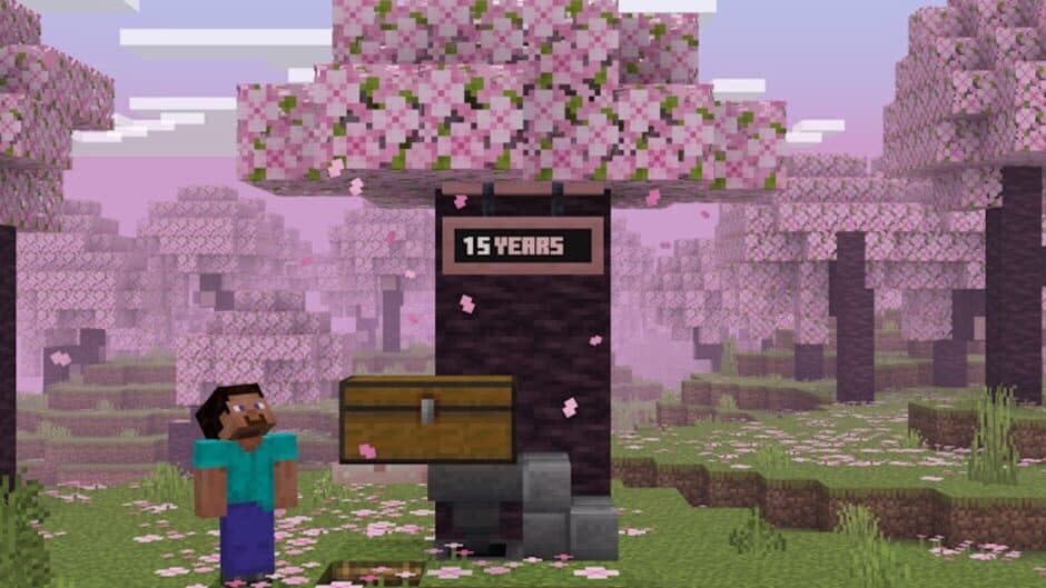 Скриншот 1 из Minecraft: Time Capsule