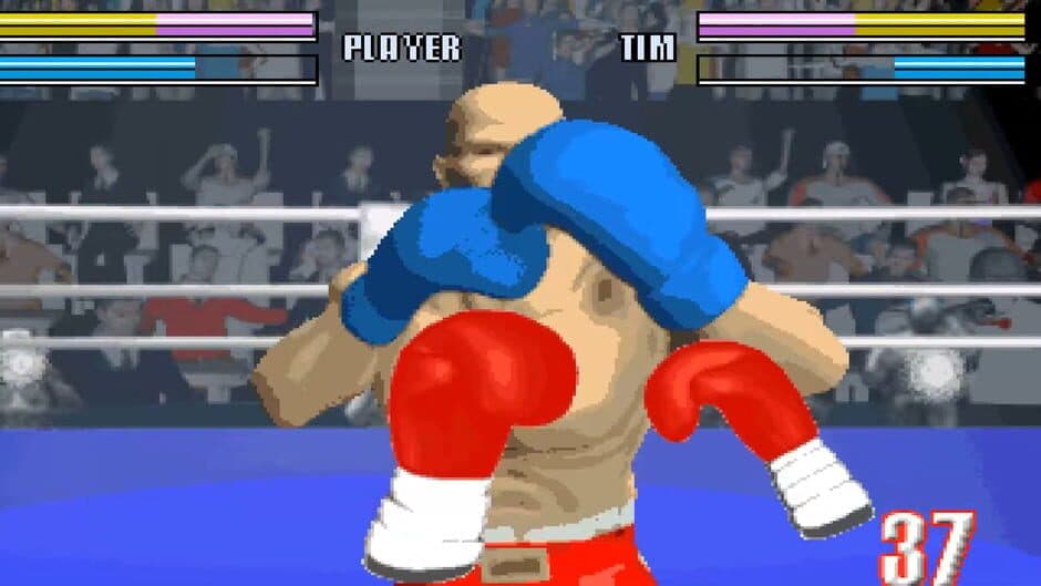 Скриншот 1 из Virtual Boxing