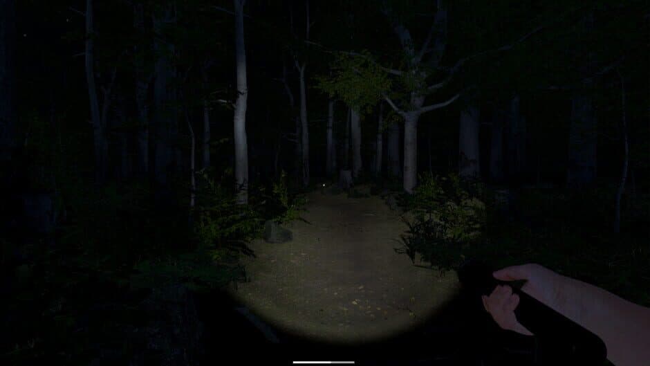 Скриншот 11 из The Greys: Human Abductions