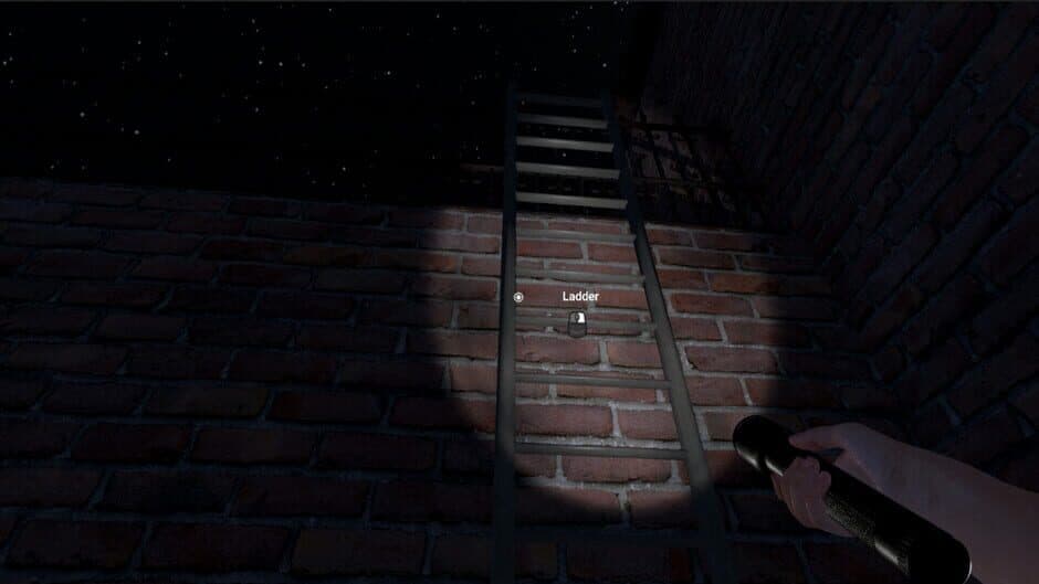 Скриншот 2 из The Greys: Human Abductions