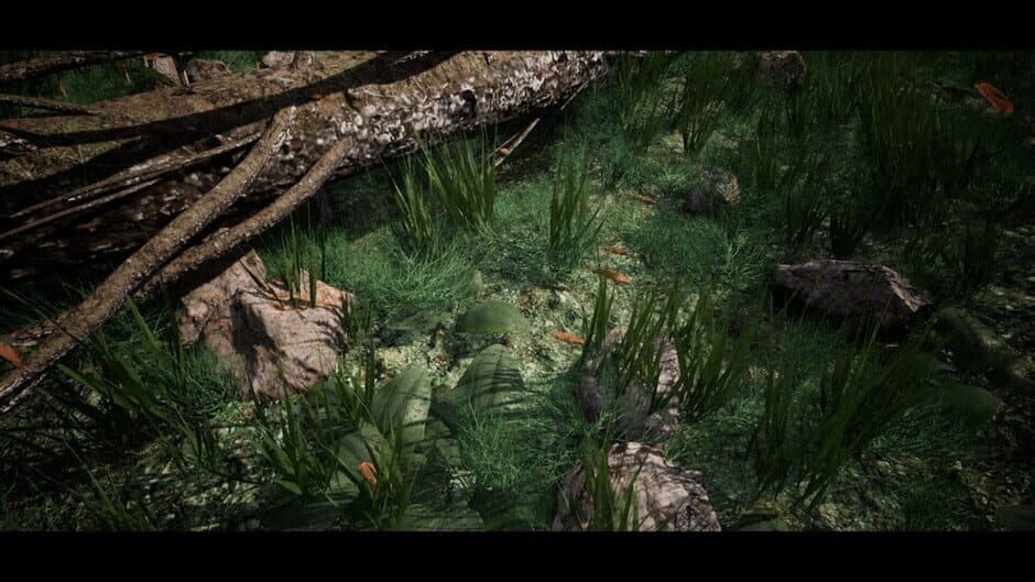 Скриншот 4 из Soilborn: Ant Empire
