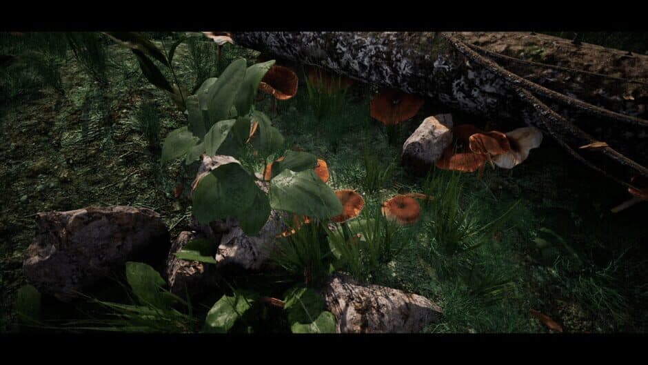 Скриншот 5 из Soilborn: Ant Empire