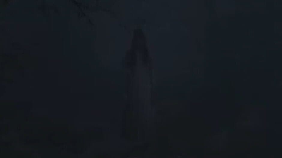Скриншот 2 из Misty Onsen