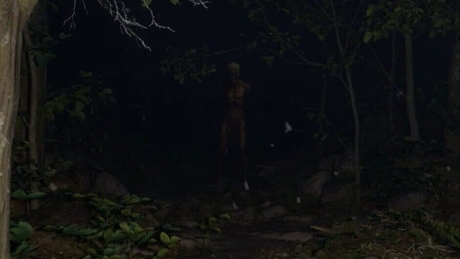 Скриншот 8 из Misty Onsen