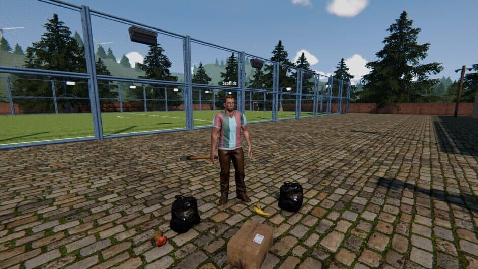 Скриншот 6 из Football Pitch Simulator
