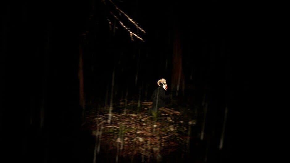 Скриншот 2 из Midnight Escape