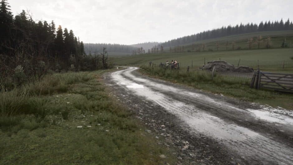 Скриншот 3 из Assetto Corsa Rally