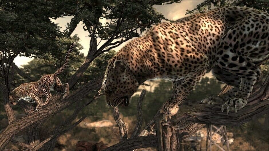 Скриншот 2 из Cabela's Dangerous Hunts 2011