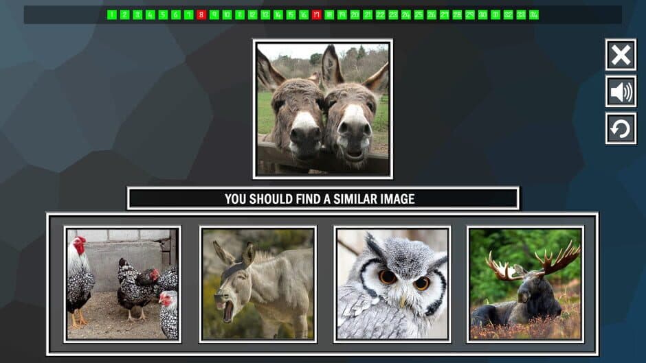Скриншот 3 из Repeat the image: Animals
