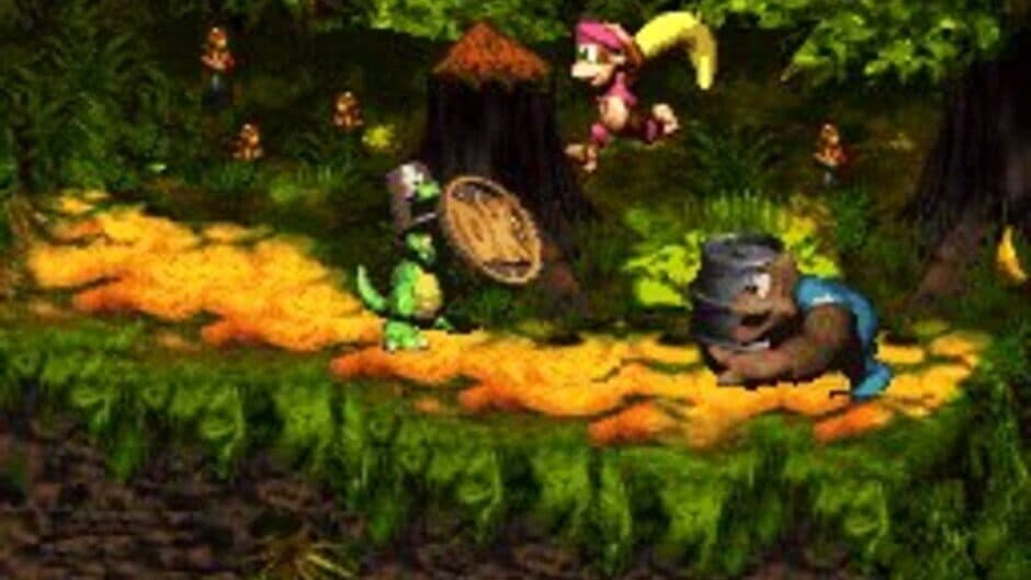 Скриншот 5 из Donkey Kong Country 3: Dixie Kong's Double Trouble!