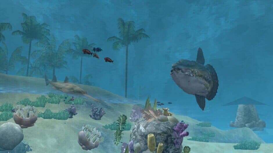 Скриншот 1 из Wildlife Park 2: Marine World