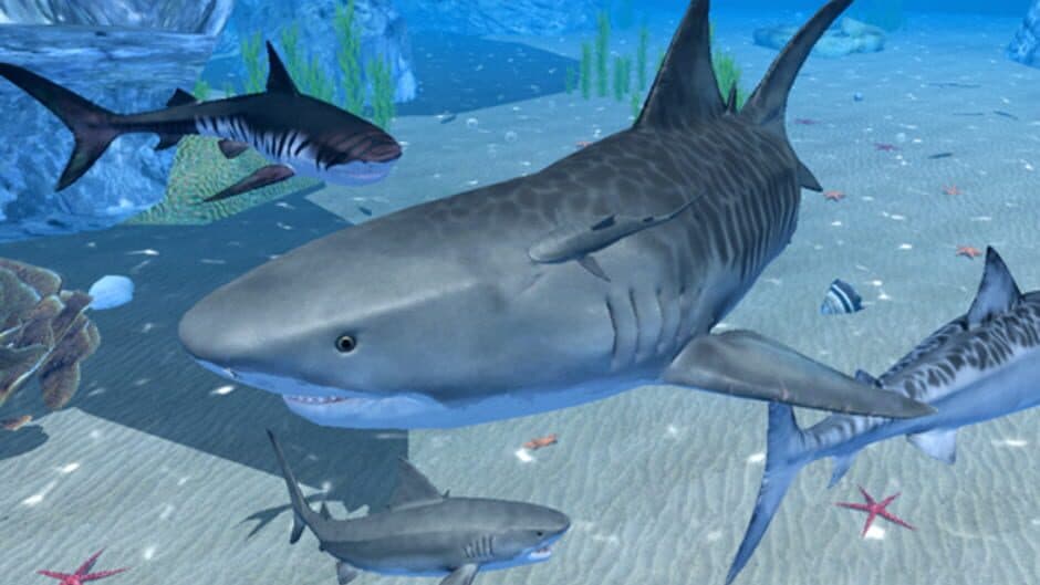 Скриншот 4 из Ultimate Shark Simulator