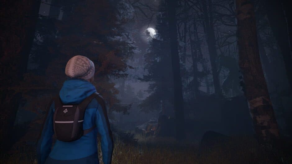 Скриншот 5 из Through the Woods