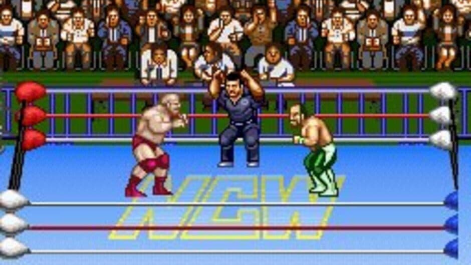 Скриншот 3 из Natsume Championship Wrestling