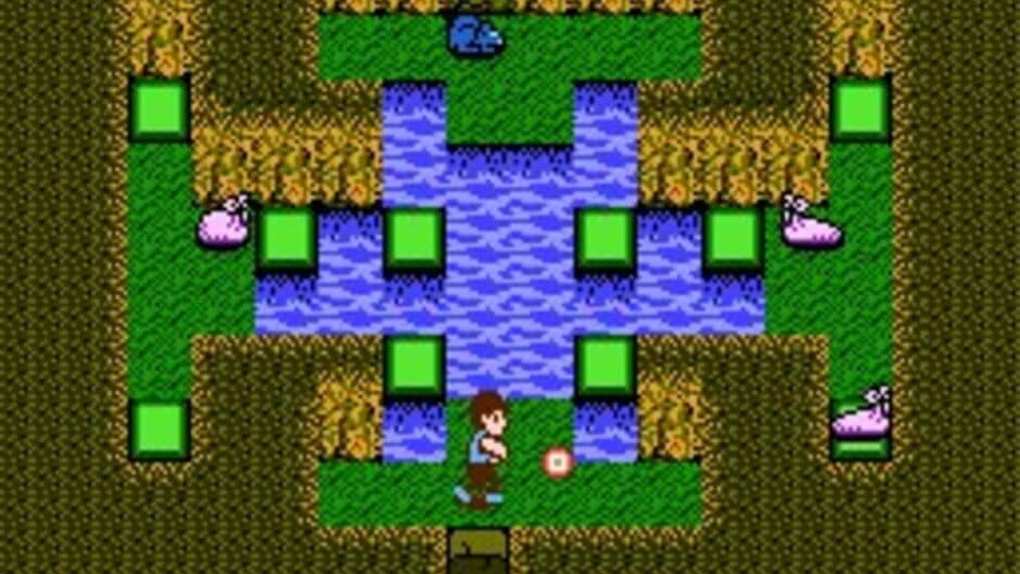 Скриншот 5 из StarTropics