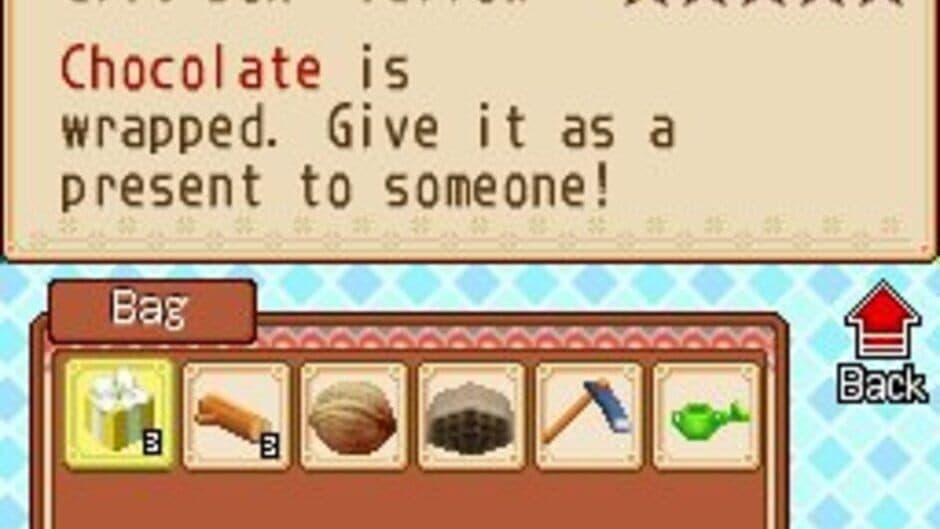 Скриншот 2 из Harvest Moon DS: Grand Bazaar