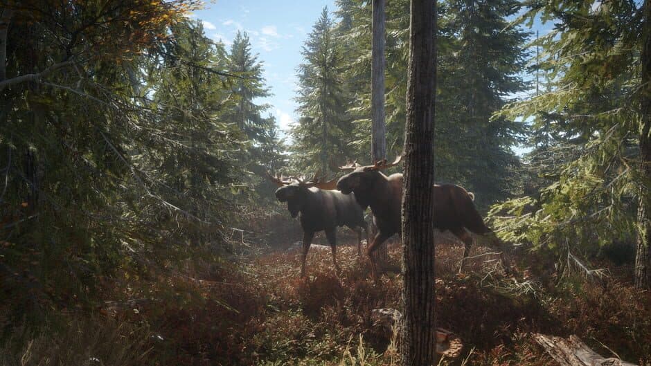 Скриншот 10 из TheHunter: Call of the Wild