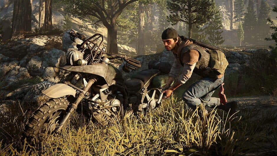 Скриншот 9 из Days Gone