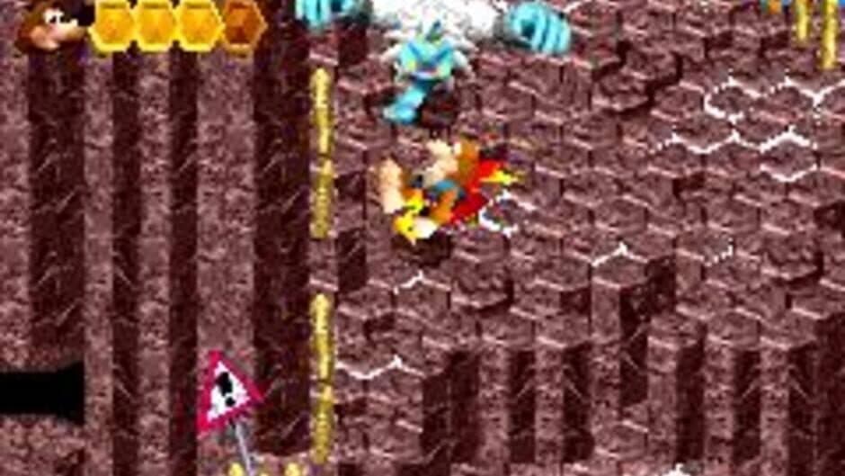 Скриншот 5 из Banjo-Kazooie: Grunty's Revenge