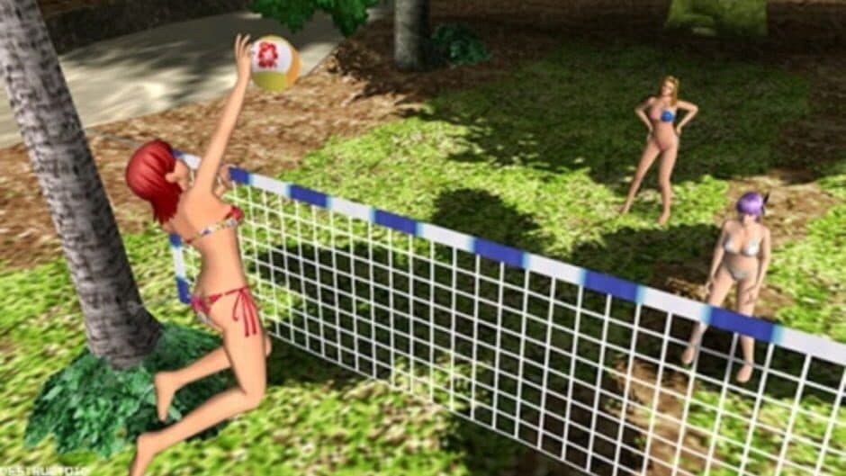 Скриншот 4 из Dead or Alive Paradise