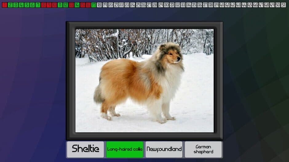 Скриншот 5 из Test your knowledge: Dogs