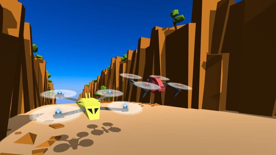 Скриншот 5 из Drone Racer: Canyons