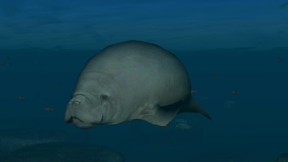 Скриншот 7 из Endless Ocean: Blue World