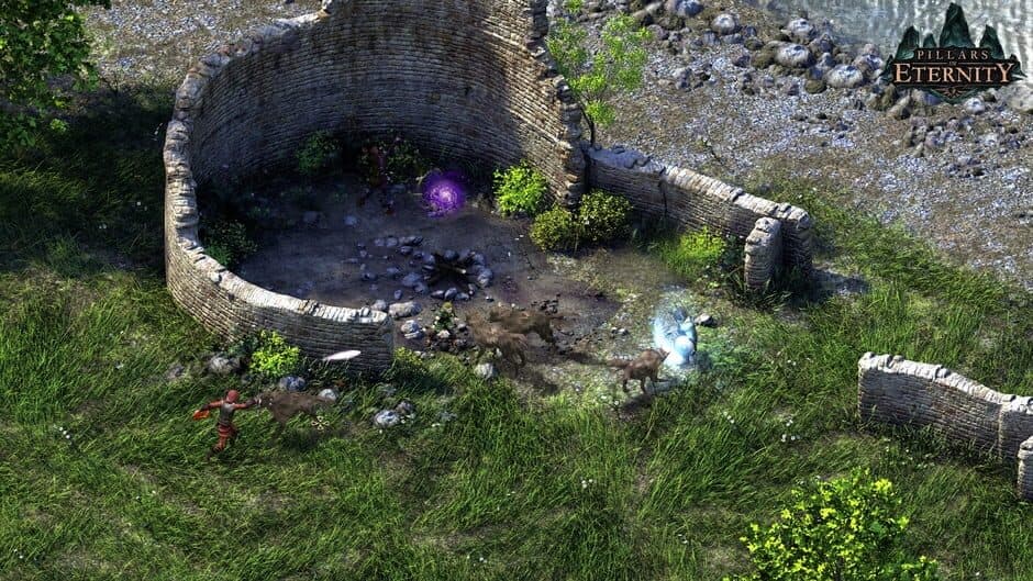 Скриншот 5 из Pillars of Eternity: Complete Edition