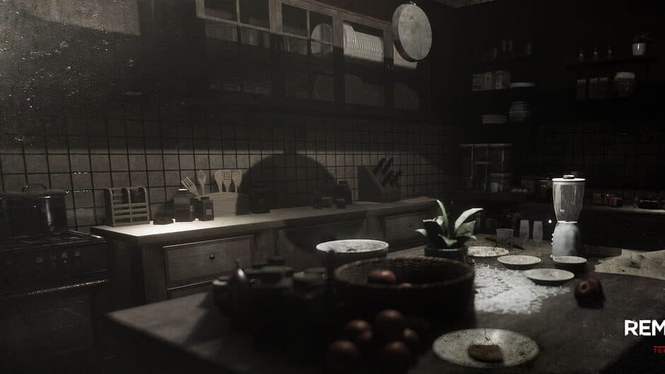 Скриншот 4 из Remothered: Tormented Fathers