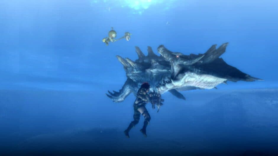 Скриншот 9 из Monster Hunter Tri