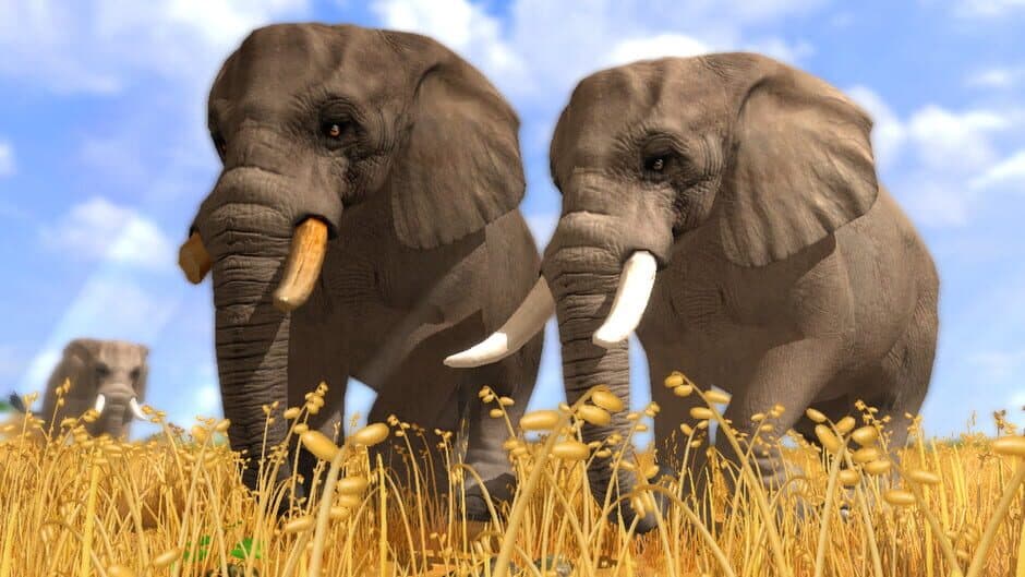 Скриншот 1 из Wildlife Park 3