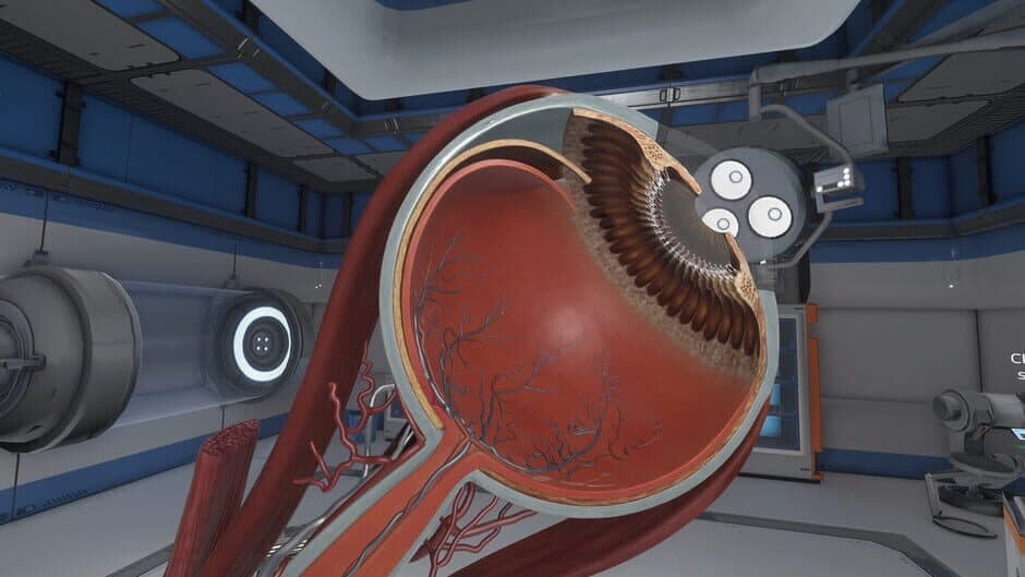 Скриншот 4 из The Physiology of the Eye