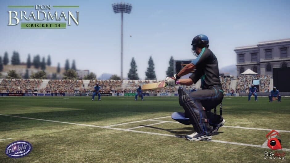 Скриншот 1 из Don Bradman Cricket 14
