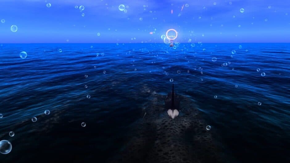 Скриншот 3 из Big Blue: Memory