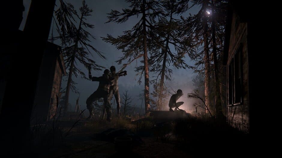 Скриншот 2 из Outlast II