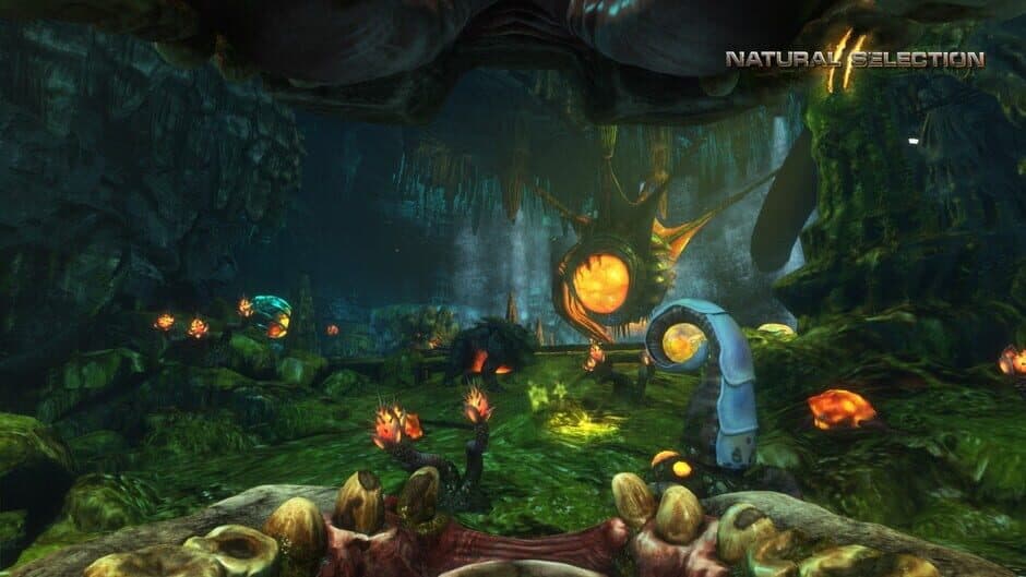Скриншот 1 из Natural Selection 2