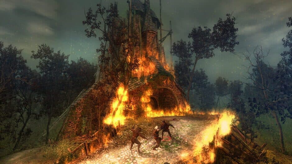 Скриншот 3 из The Witcher: Enhanced Edition Director's Cut