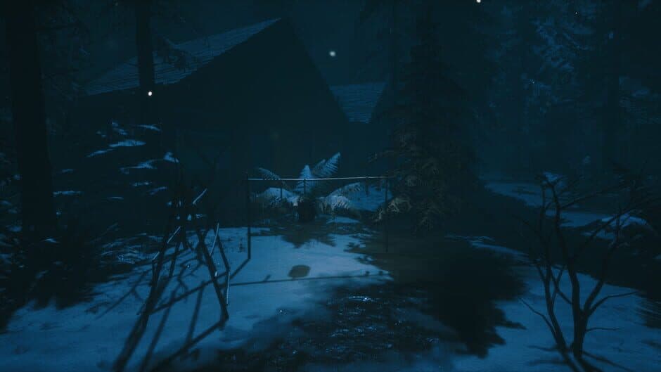 Скриншот 4 из The Outsider