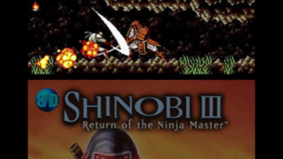 Скриншот 5 из 3D Shinobi III: Return of the Ninja Master