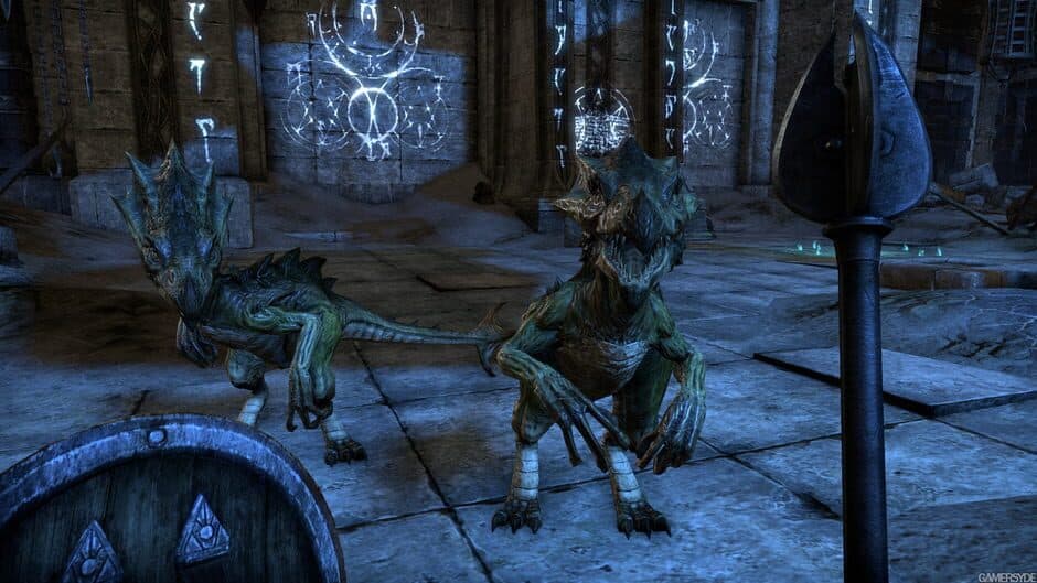 Скриншот 5 из The Elder Scrolls Online