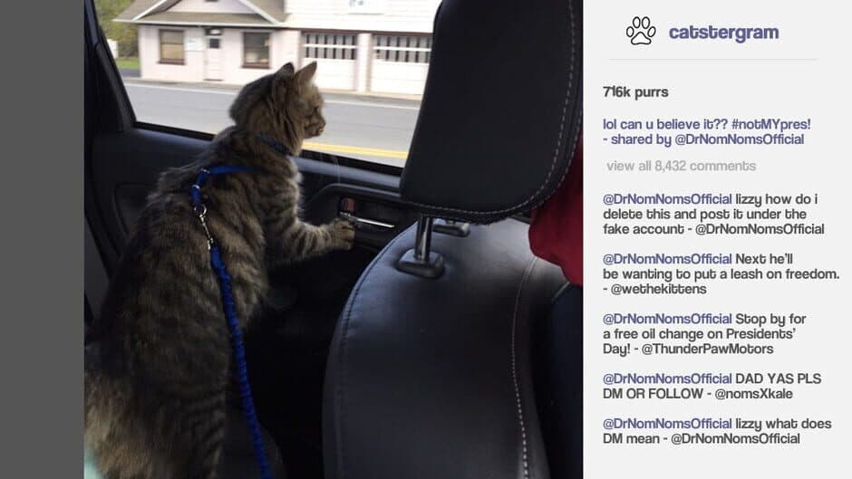 Скриншот 5 из Cat President: A More Purrfect Union