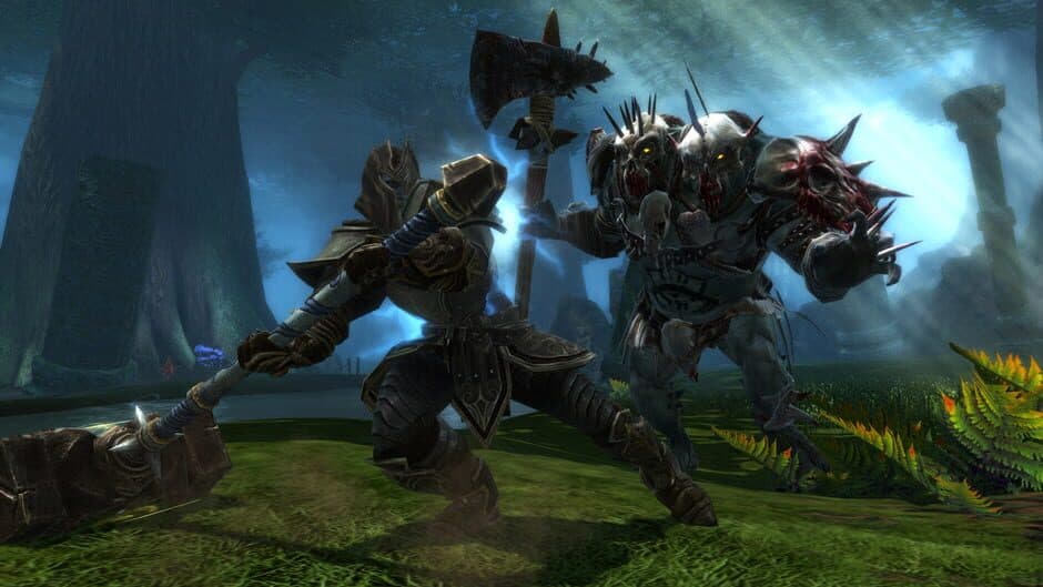 Скриншот 5 из Kingdoms of Amalur: Reckoning