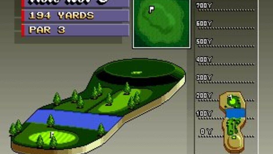 Скриншот 6 из Neo Turf Masters