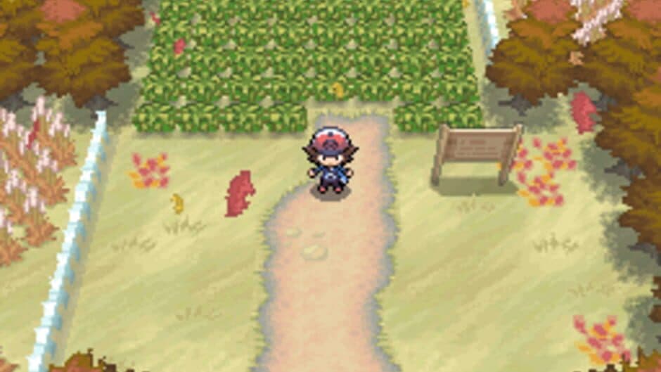 Скриншот 1 из Pokémon Black Version