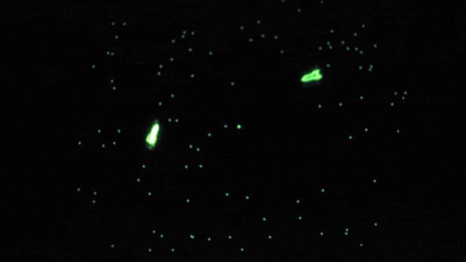 Скриншот 1 из Galaxy Game