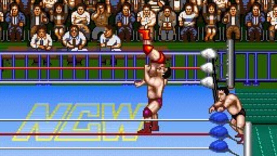 Скриншот 1 из Natsume Championship Wrestling