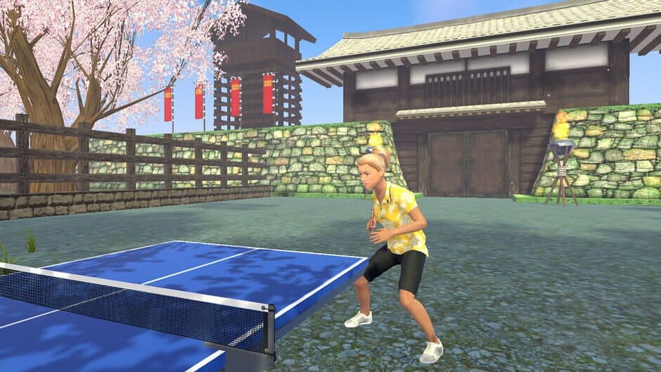 Скриншот 5 из VR Ping Pong Paradise