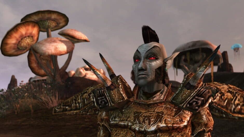 Скриншот 8 из The Elder Scrolls III: Morrowind