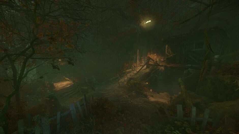 Скриншот 2 из The Cursed Forest