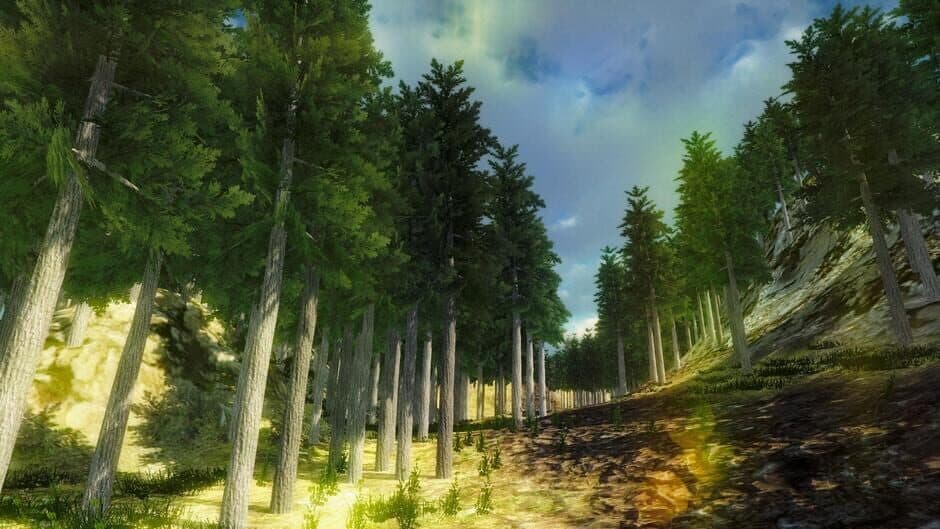 Скриншот 1 из Nature Walk Simulator